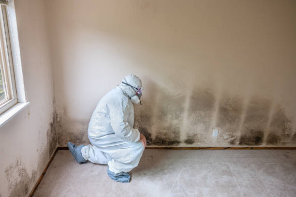 Mold Odor Removal Services in Sperry, OK